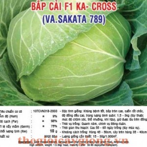 bap cai f1 ka cross