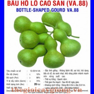 bau ho lo cao san va88