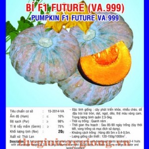 bi f1 future va999