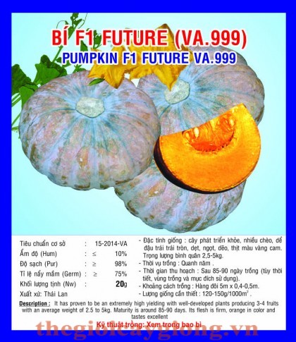 bi f1 future va999