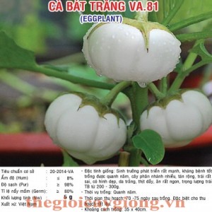 ca bat trang va81