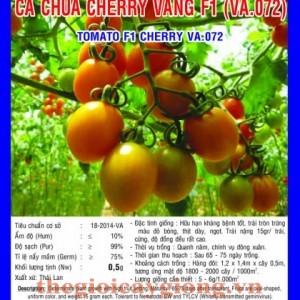 ca chua cherry vang f1 va071