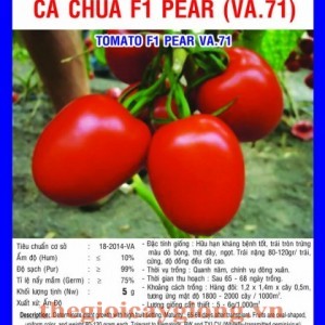 ca chua f1 pear