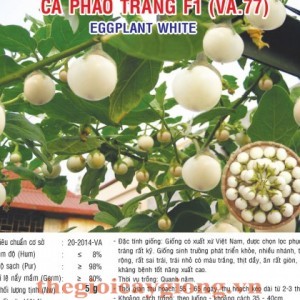 ca phao trang f1 va77