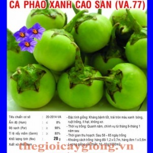 ca phao xanh cao san va77