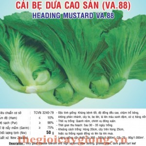 cai be dua cao san va88