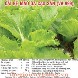 cai be mao ga cao san va999