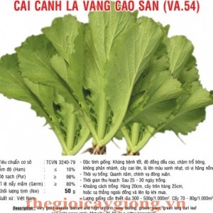 cai be xanh la vang cao san va54