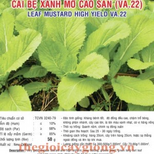 cai be xanh mo cao san va22