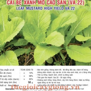 cai be xanh mo cao san va22