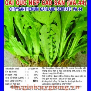 cai cuc nep cao san va44