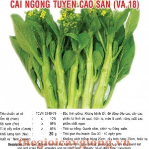 cai ngong tuyen cao san va18