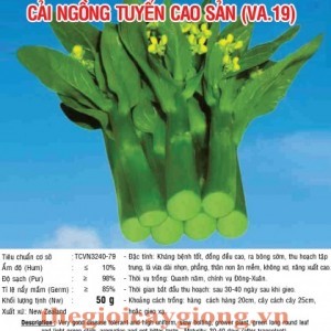 cai ngong tuyen cao san va19