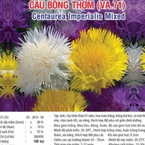 cau bong thom va71