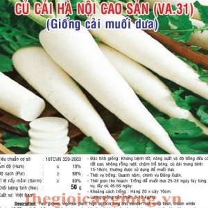 cu cai ha noi cao san va31