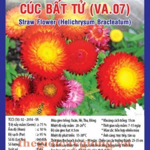 cuc bat tu va07