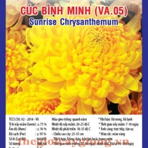 cuc binh minh va05