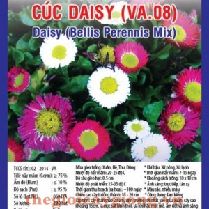 cuc daisy va08