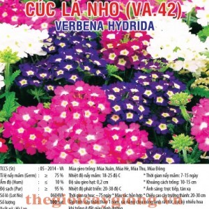 cuc la nho va42