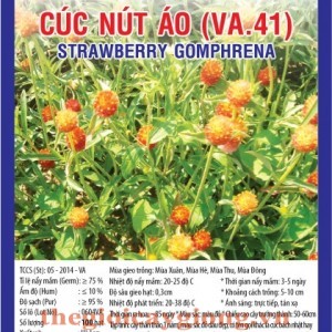 cuc nut ao va41