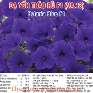 da yen thao ru va13