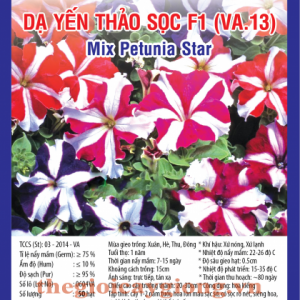 da yen thao soc va13