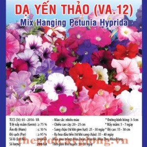 da yen thao va12