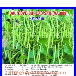 dau cove bui hat trang va009