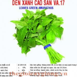 den xanh cao san va17