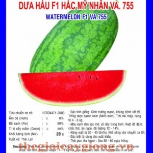 dua hau f1 hmn f1