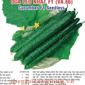 dua leo nhat f1 va66