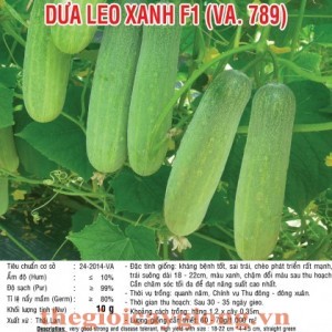 dua leo xanh f1 va789