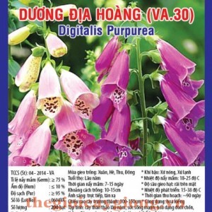 duong dia hoang va30