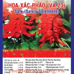 hat hoa xac phao va23