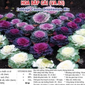 hoa bap cai kieng va63