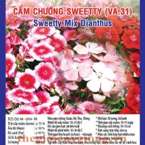 hoa cam chuong sweetty va31