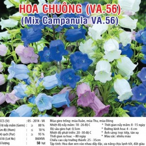 hoa chuong va56