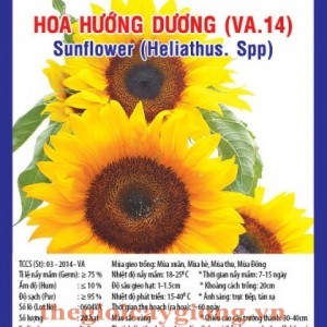 hoa huong duong va14