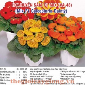 hoa huyen sam va48