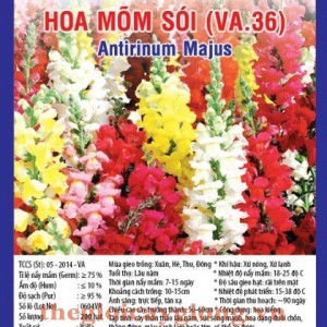 hoa mom soi va36