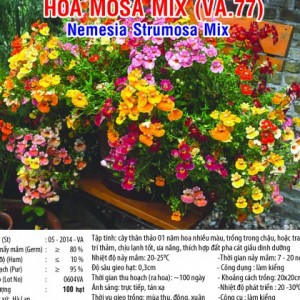 hoa mosa mix va67