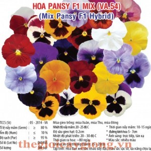 hoa pansy mix f1 va54