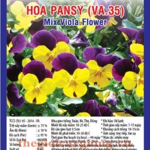 hoa pansy va35