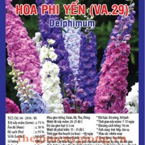 hoa phi yen va29