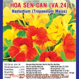 hoa sen can va24