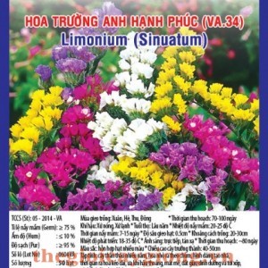 hoa truong anh hanh phuc va34