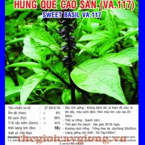 hung que cao san va117