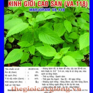 kinh gioi cao san va118