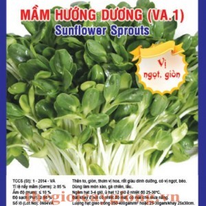 mam huong duong va1