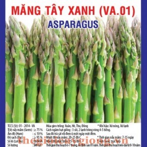 mang tay xanh va01